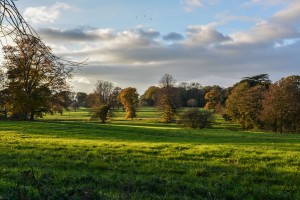 web_Rookery_Park_Holiday_Cottages_Suffolk_8533_600px 