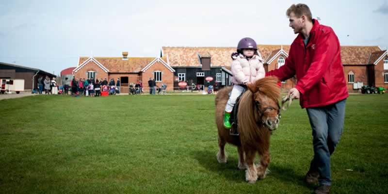 Easton Farm Park